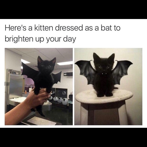 Thanks For Checking Out My Posh Closet!! - Picture 2 of 2